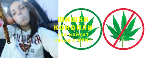 ГАЛЛЮЦИНОГЕННЫЕ ГРИБЫ Новозыбков