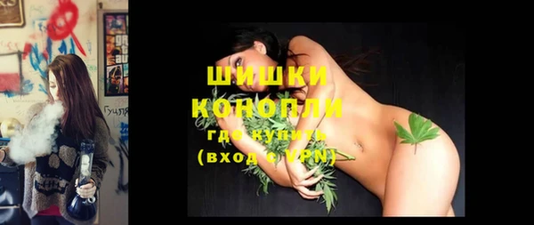 ГАЛЛЮЦИНОГЕННЫЕ ГРИБЫ Новозыбков