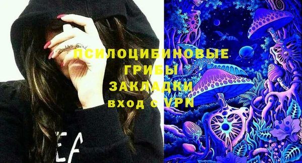 круглые Новодвинск