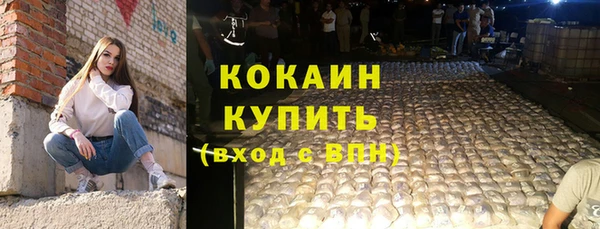 ГАЛЛЮЦИНОГЕННЫЕ ГРИБЫ Новозыбков