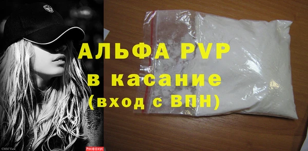 ГАЛЛЮЦИНОГЕННЫЕ ГРИБЫ Новозыбков