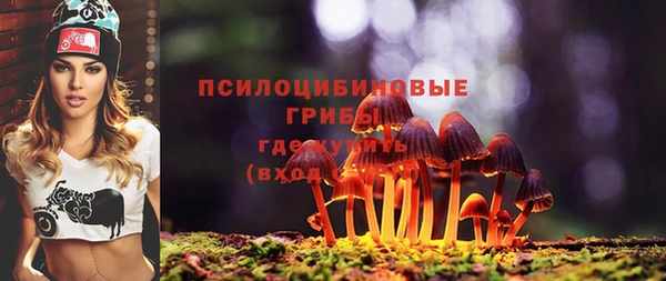 ГАЛЛЮЦИНОГЕННЫЕ ГРИБЫ Новозыбков