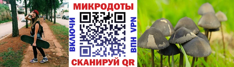 Галлюциногенные грибы Psilocybe  купить наркоту  Абинск 