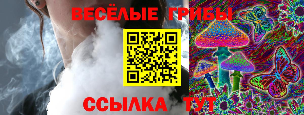 Псилоцибиновые грибы Psilocybe  Псилоцибиновые грибы Magic Shrooms  Абинск 