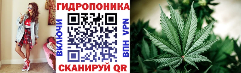 Марихуана Amnesia Абинск
